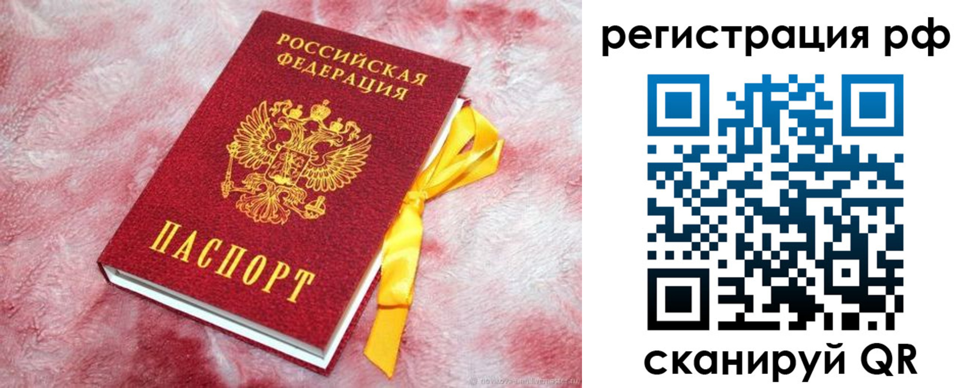 прописка в Покрове